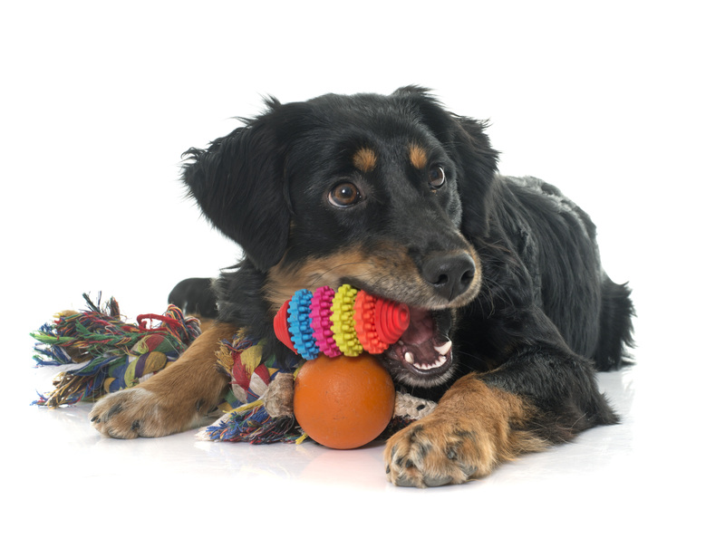 moving company boxes